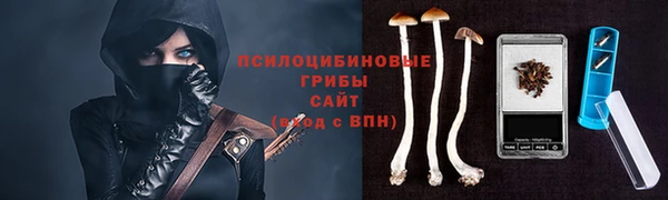 бутират Бугульма