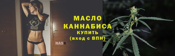 прущий лед Бородино