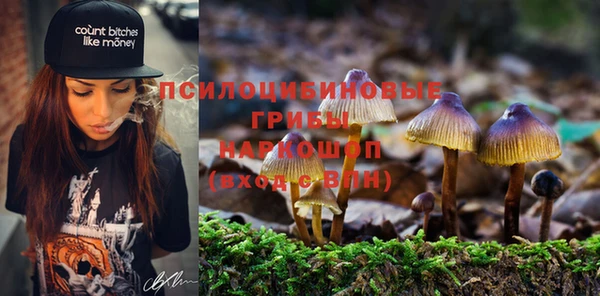 мет Верея