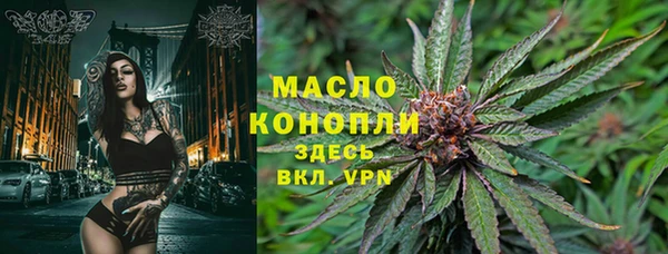 прущий лед Бородино
