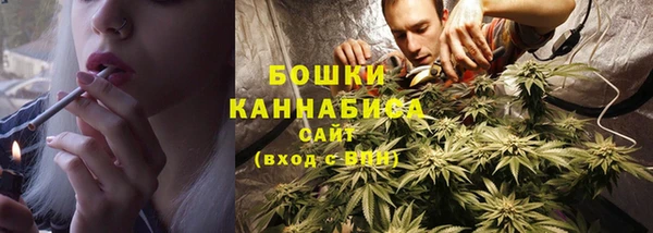 индика Одинцово