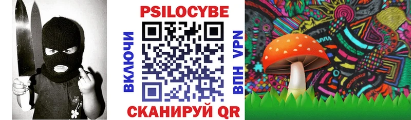 MEGA вход  Вилючинск  Галлюциногенные грибы GOLDEN TEACHER  как найти наркотики 